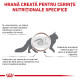 Royal Canin Expert Feline Gastrointestinal Fibre Response – Hrană Uscată pentru Pisici cu Constipație și Tulburări de Tranzit Intestinal, 4 kg
